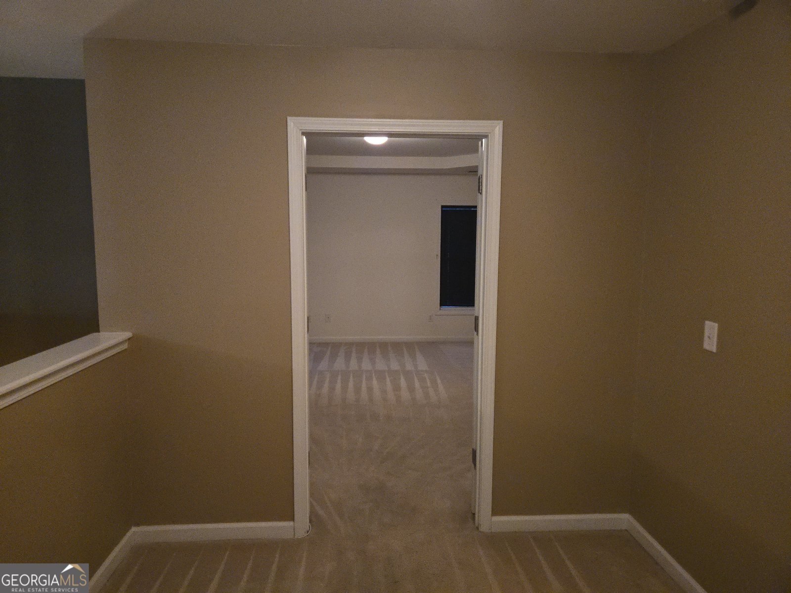 4613 Irish Red Court Union City - 29