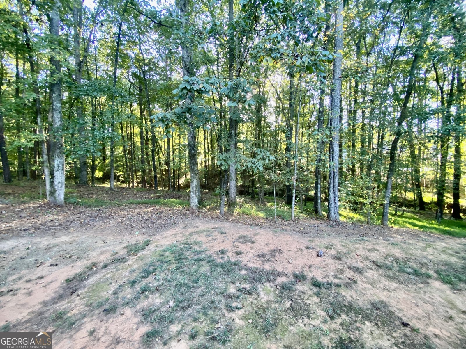 445 Royal Street McDonough - 6
