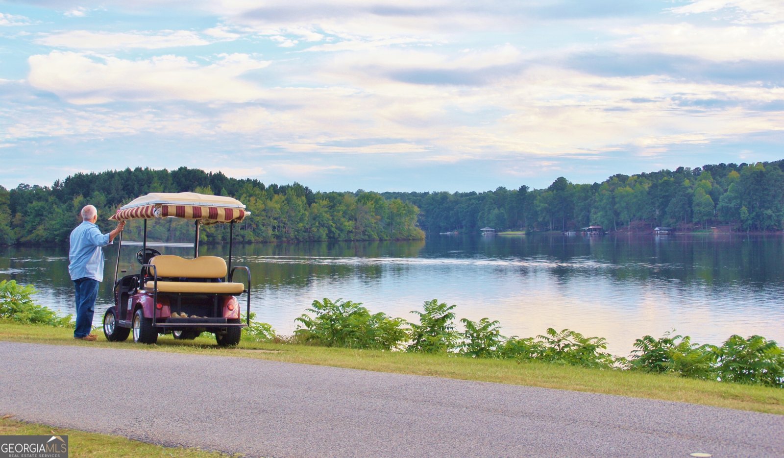 311 Longer Drive Peachtree City - 90