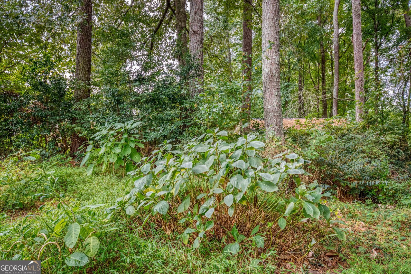 2173 Timber Lane Snellville - 21
