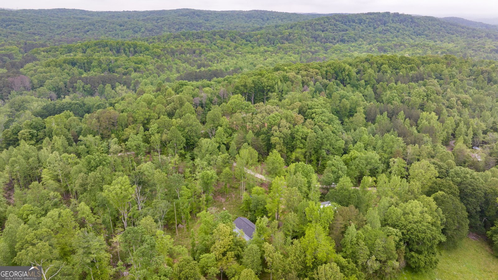527 Louden Ridge Road Alto - 25
