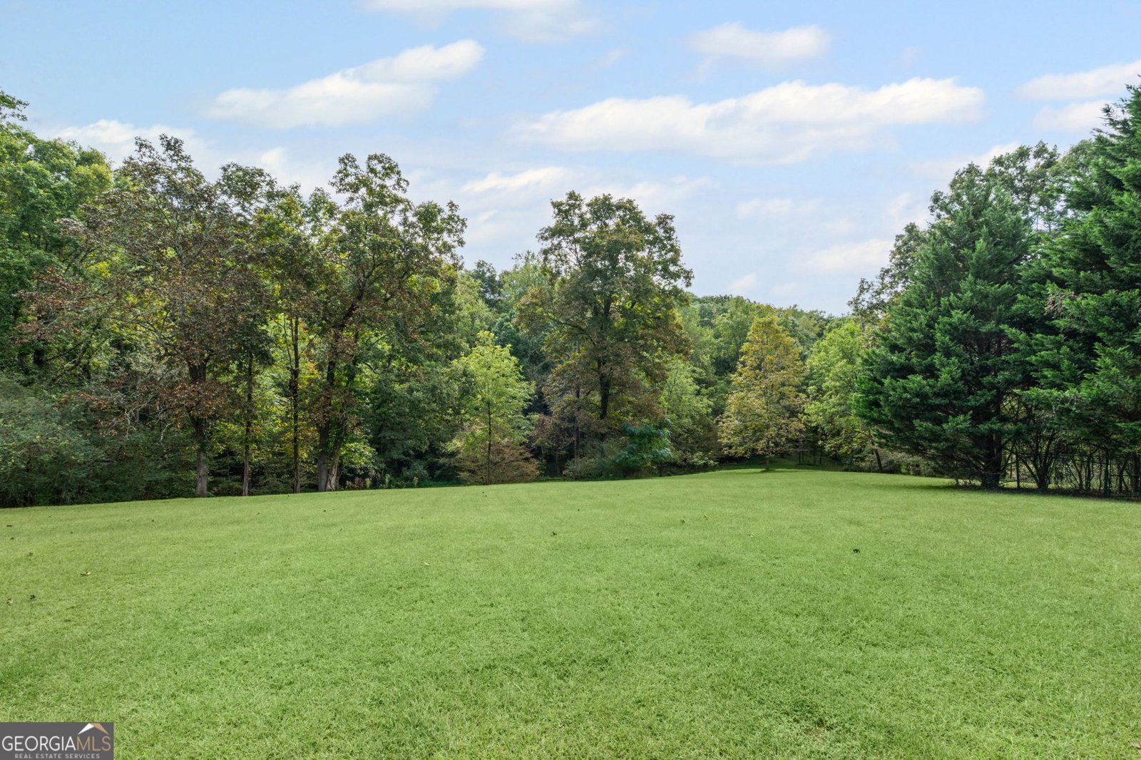 9060 Blue Willow Court Gainesville - 3