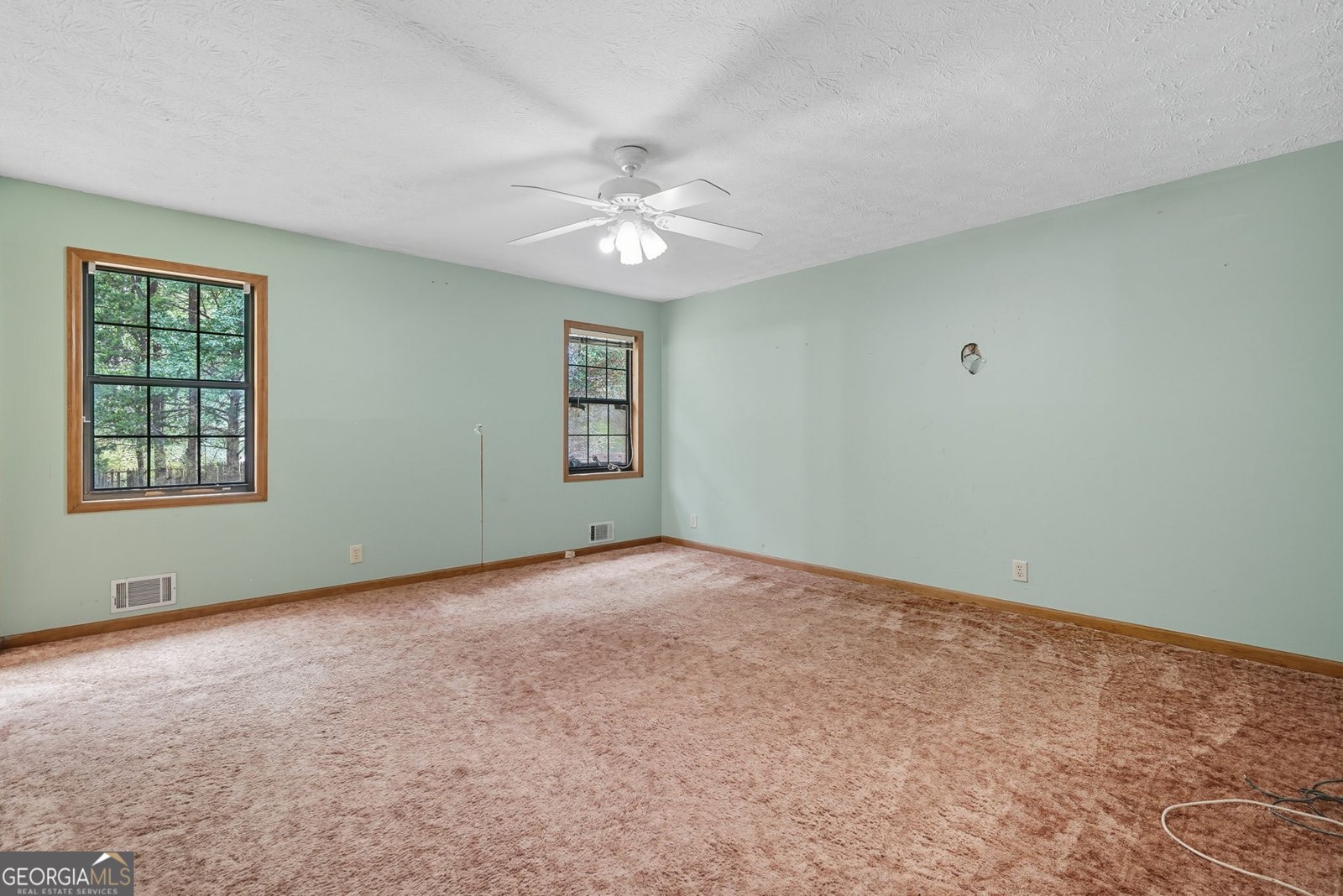 2105 Tropicana Drive Suwanee - 22
