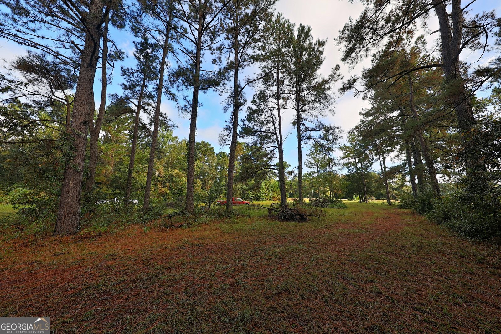 23481 US Hwy 19 Ochlocknee - 15