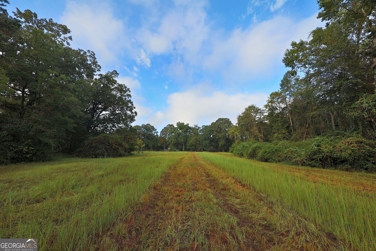 23481 US Hwy 19 Ochlocknee - 16