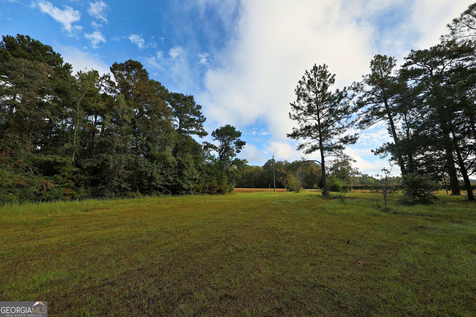 23481 US Hwy 19 Ochlocknee - 17