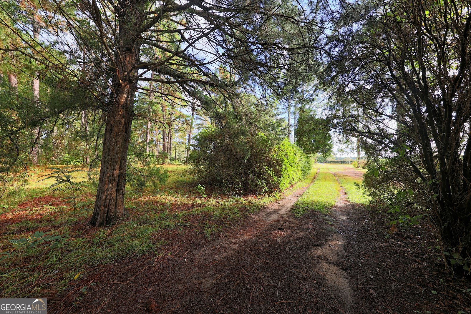 23481 US Hwy 19 Ochlocknee - 19