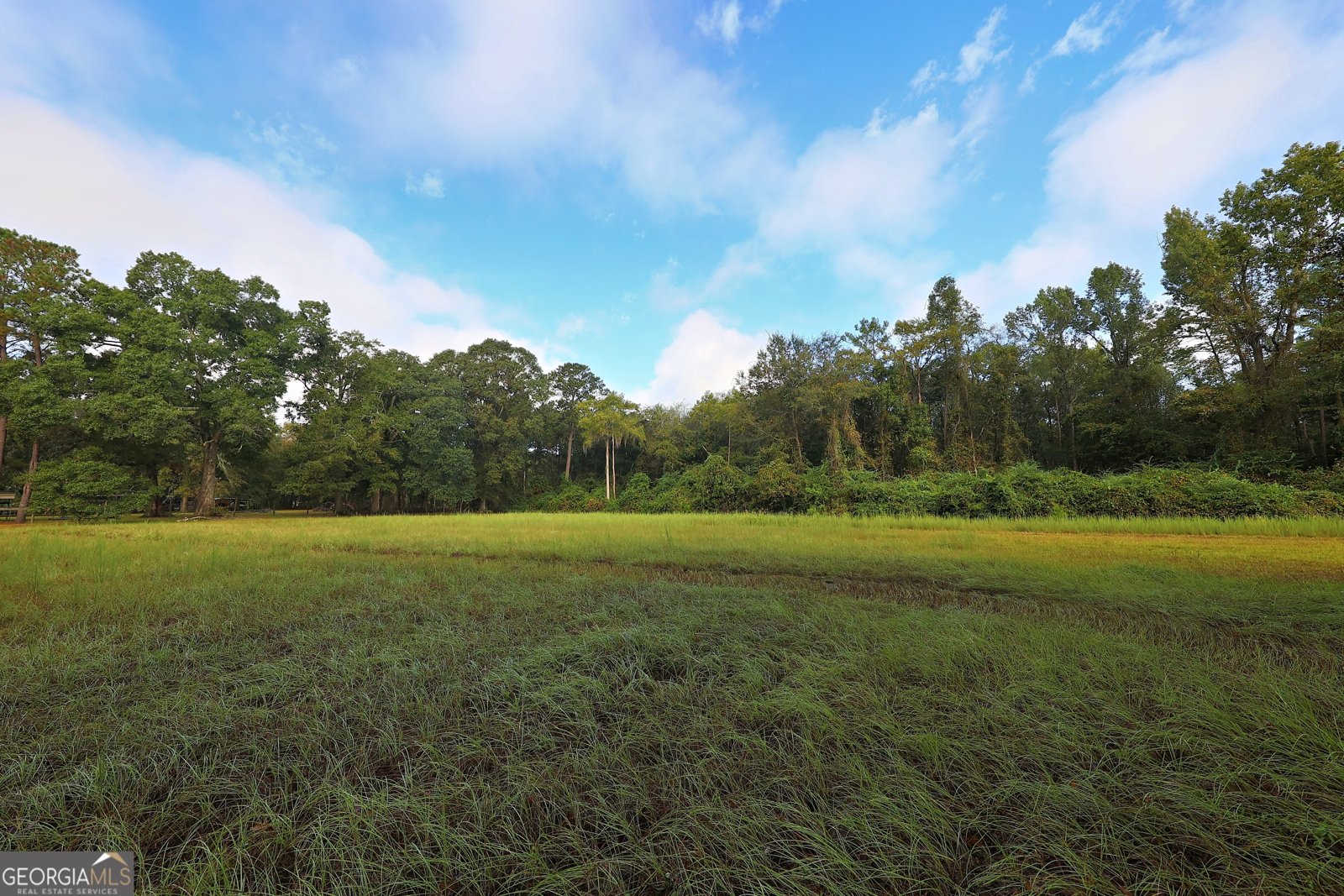 23481 US Hwy 19 Ochlocknee - 2