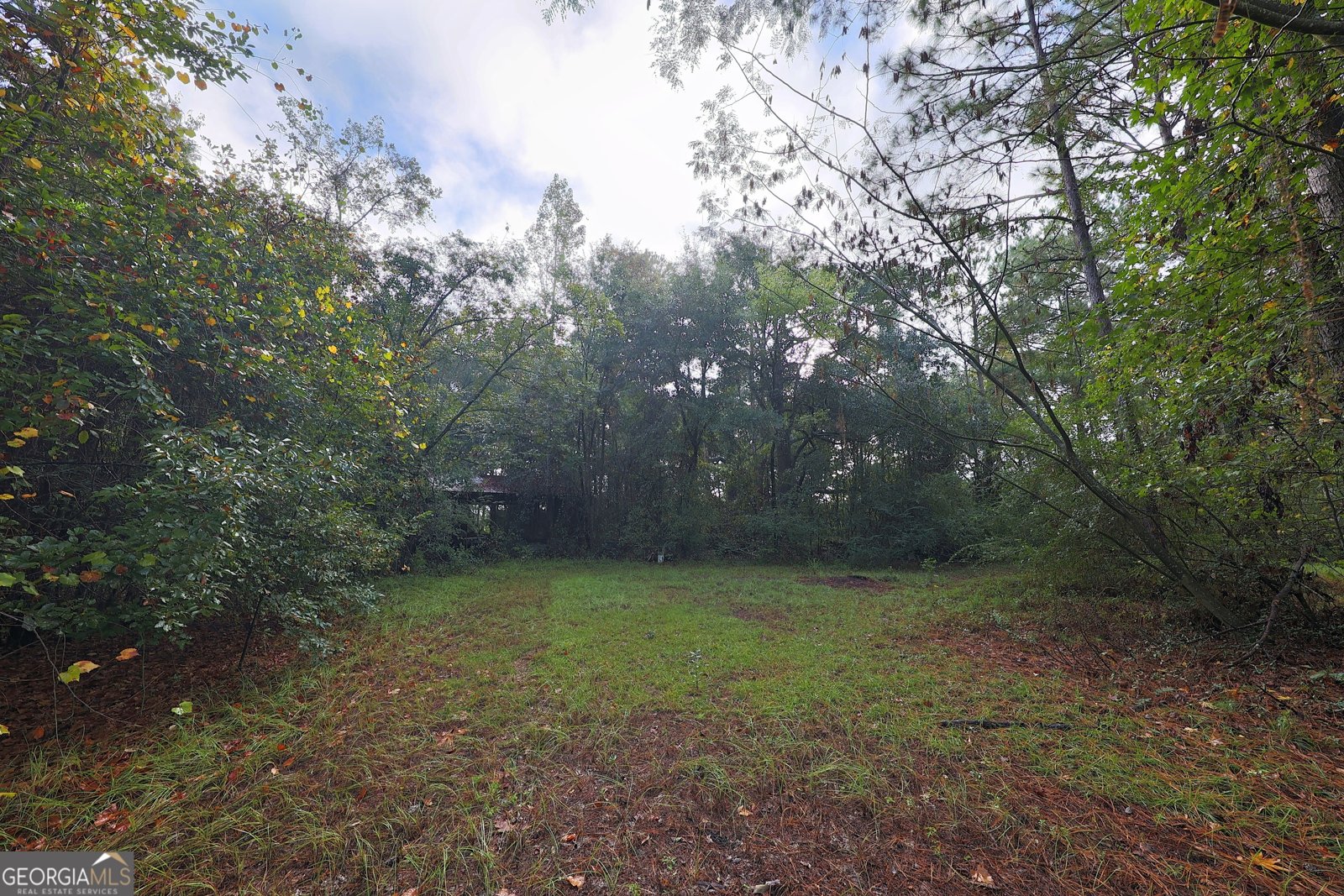 23481 US Hwy 19 Ochlocknee - 23