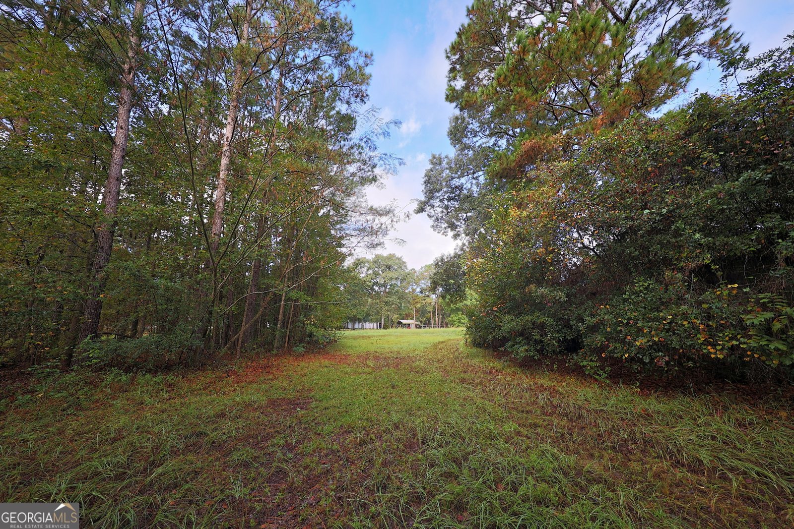 23481 US Hwy 19 Ochlocknee - 24