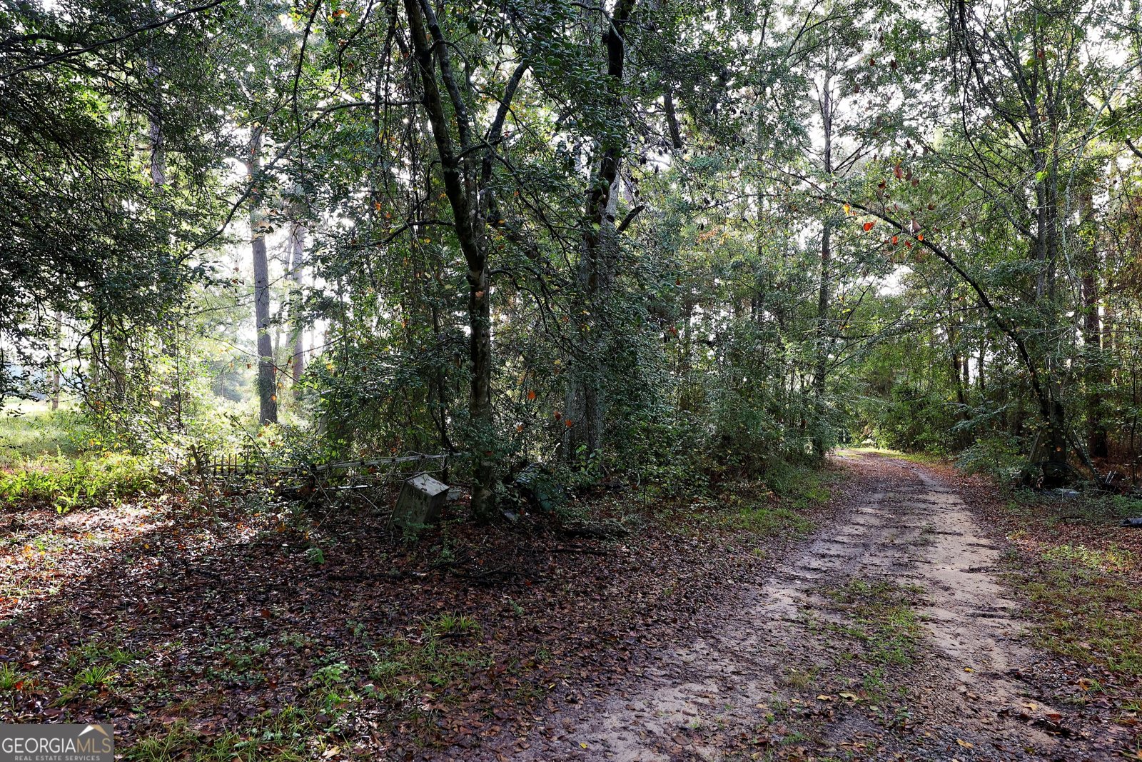 23481 US Hwy 19 Ochlocknee - 25