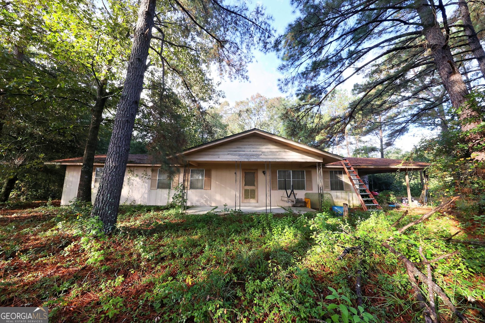 23481 US Hwy 19 Ochlocknee - 3