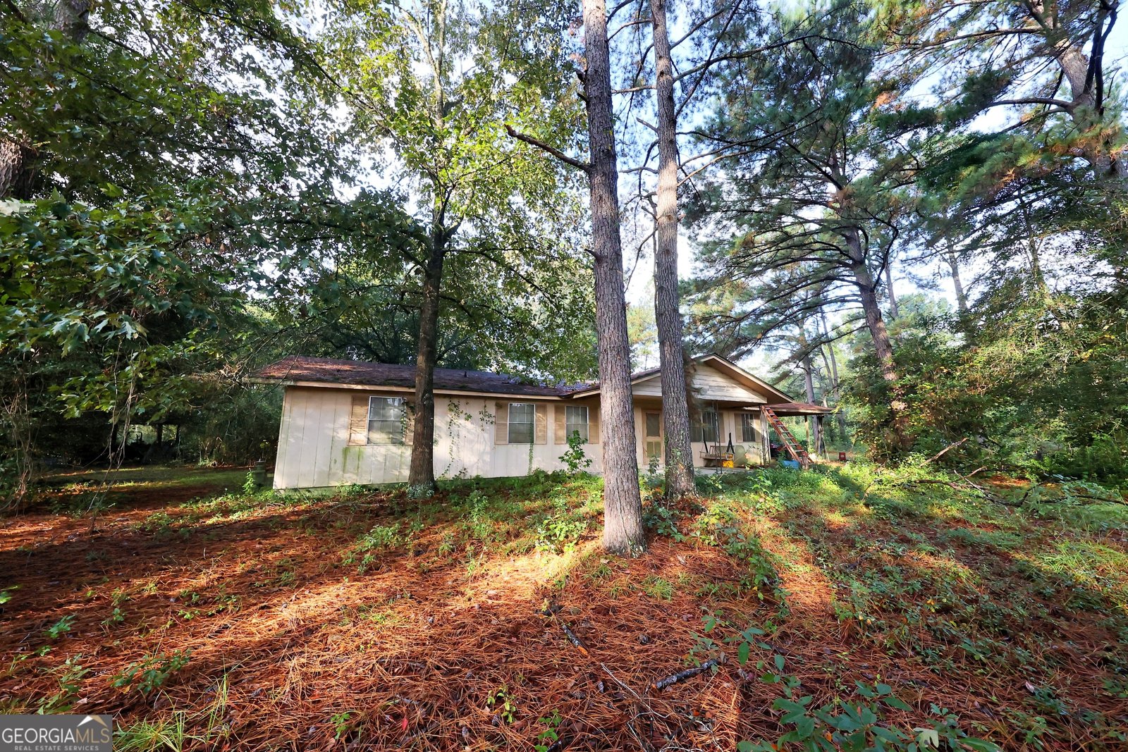 23481 US Hwy 19 Ochlocknee - 5