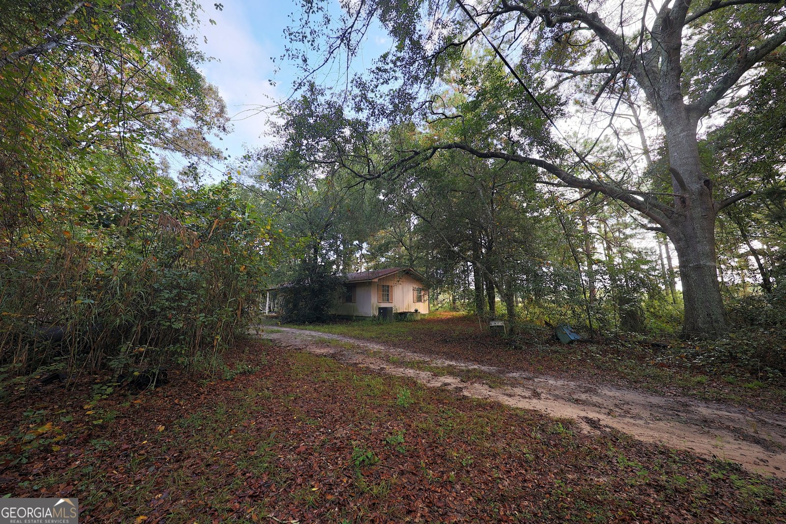 23481 US Hwy 19 Ochlocknee - 7