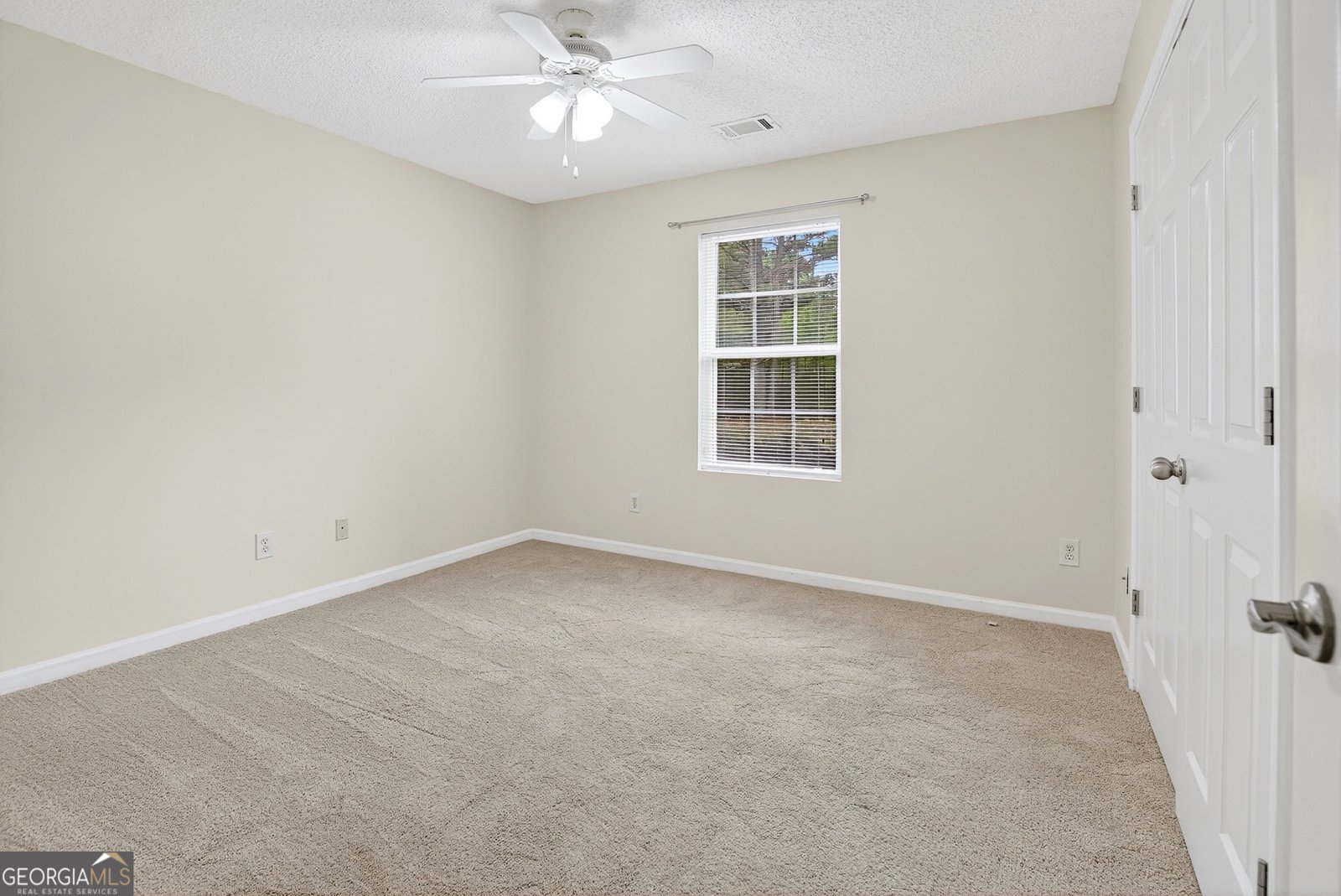 4583 Gordon Road Senoia - 11