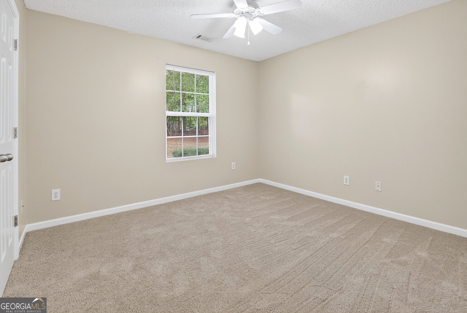 4583 Gordon Road Senoia - 13