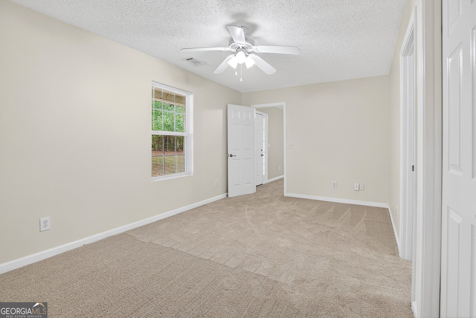 4583 Gordon Road Senoia - 6