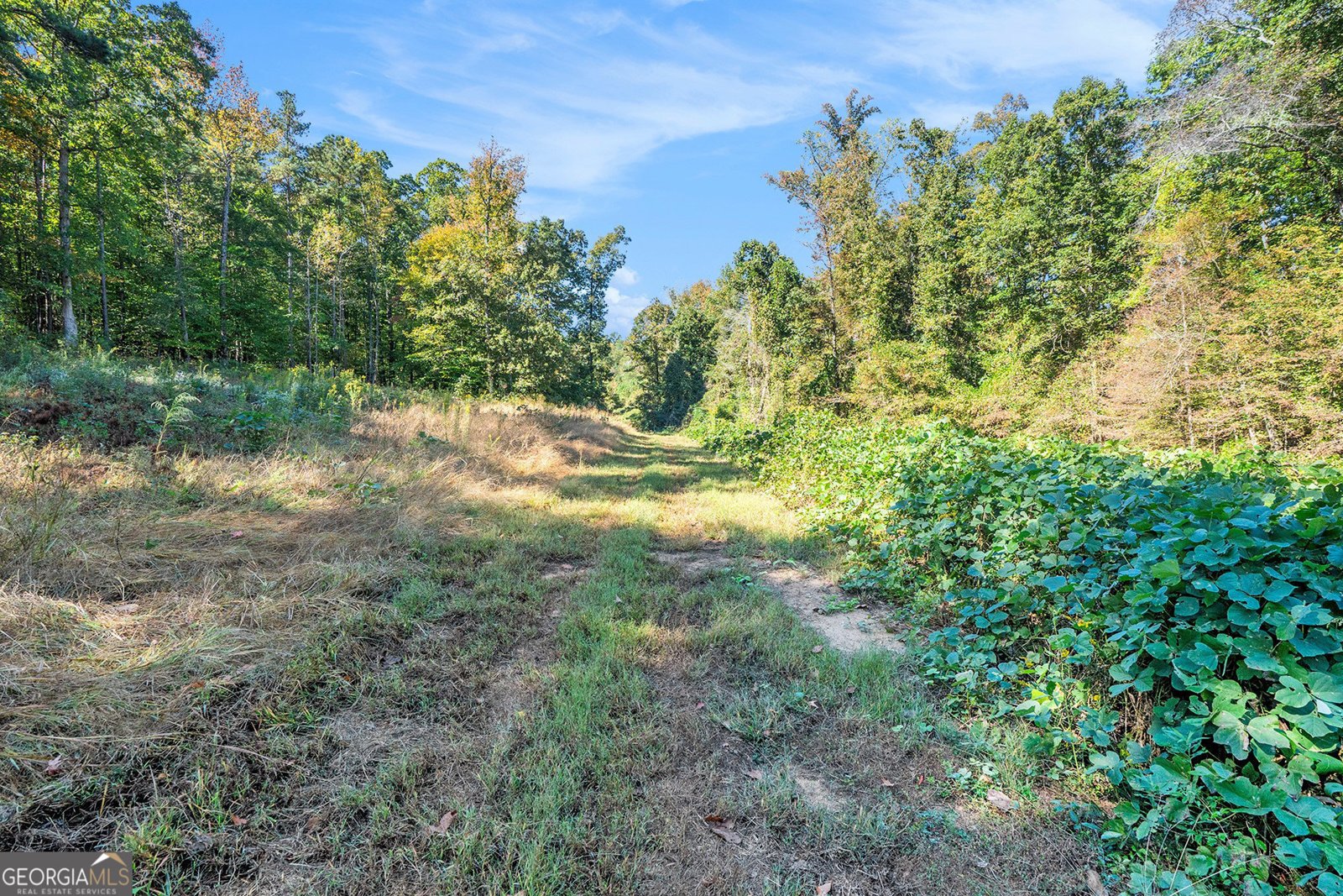 1255 Norton Road Conyers - 15
