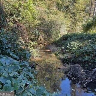 1255 Norton Road Conyers - 18