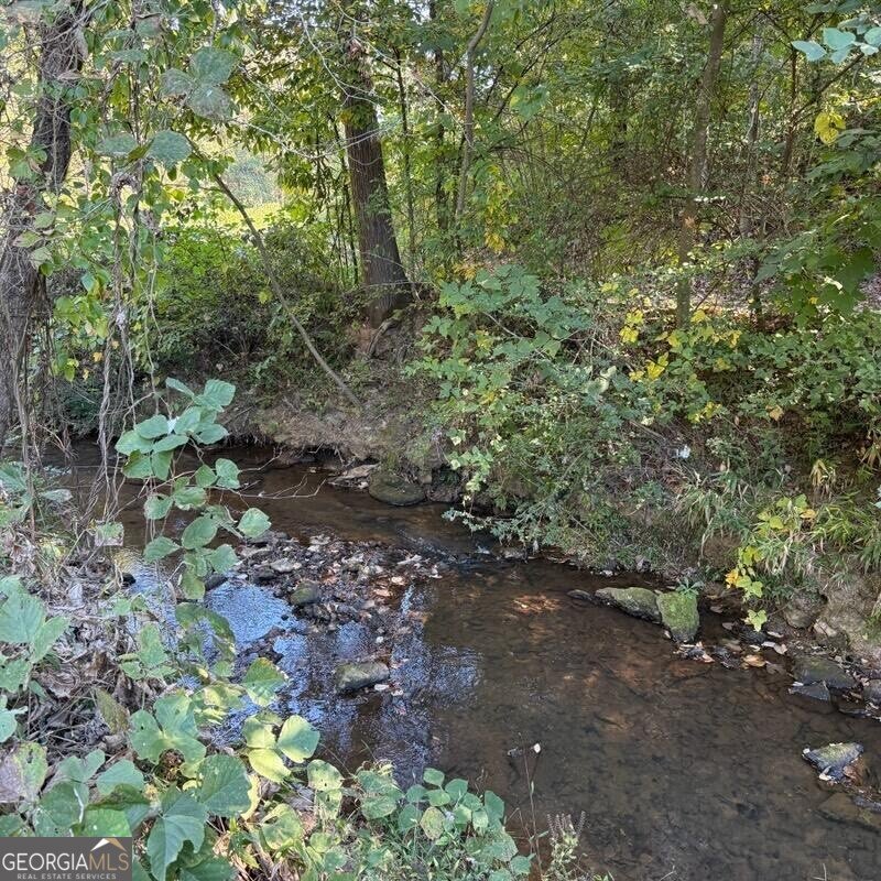 1255 Norton Road Conyers - 19
