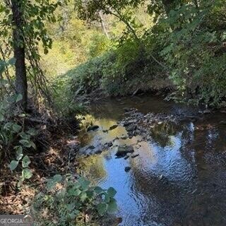 1255 Norton Road Conyers - 20