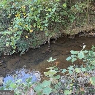 1255 Norton Road Conyers - 21