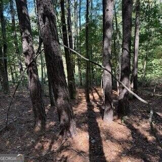 1255 Norton Road Conyers - 22