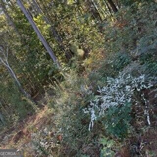 1255 Norton Road Conyers - 23