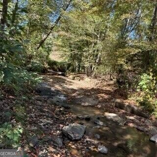 1255 Norton Road Conyers - 24