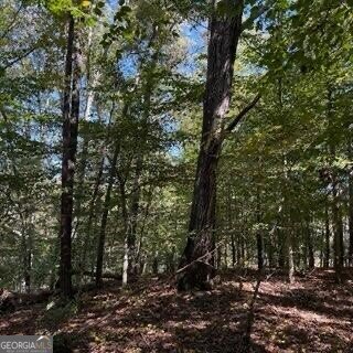 1255 Norton Road Conyers - 25
