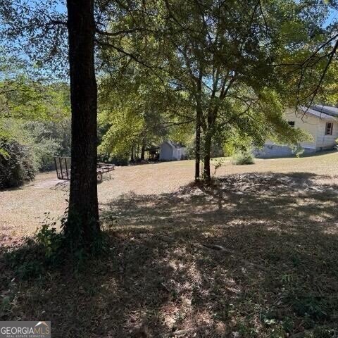 1255 Norton Road Conyers - 30