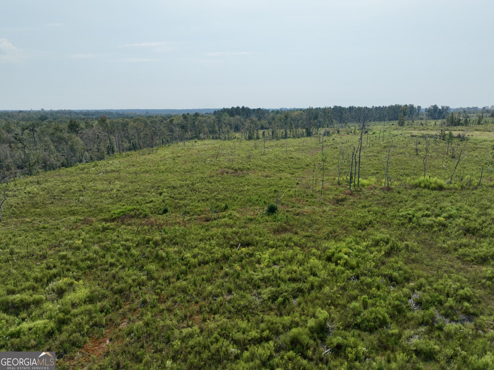 4281 Ga Highway 46 Soperton - 25