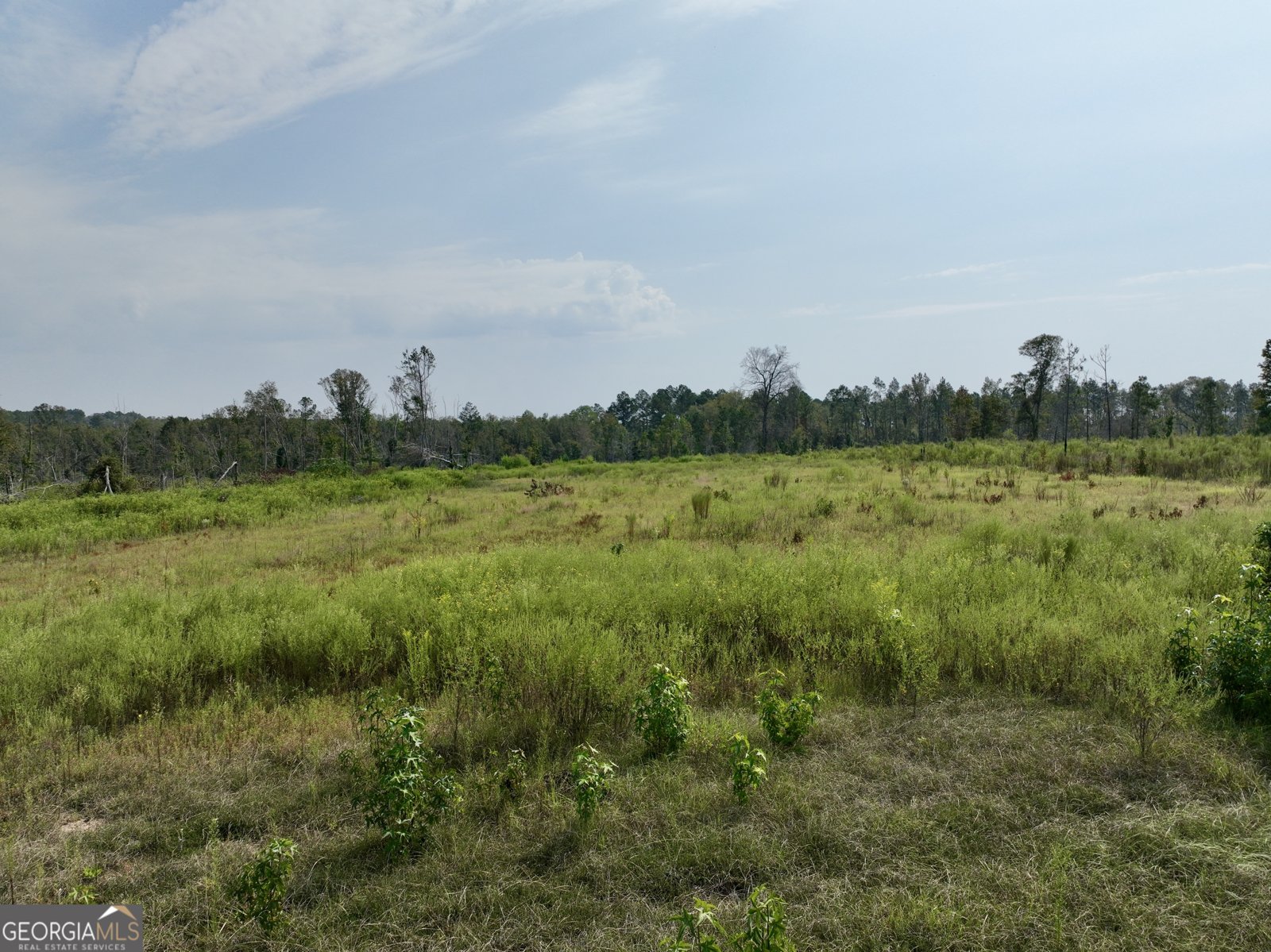 4281 Ga Highway 46 Soperton - 27