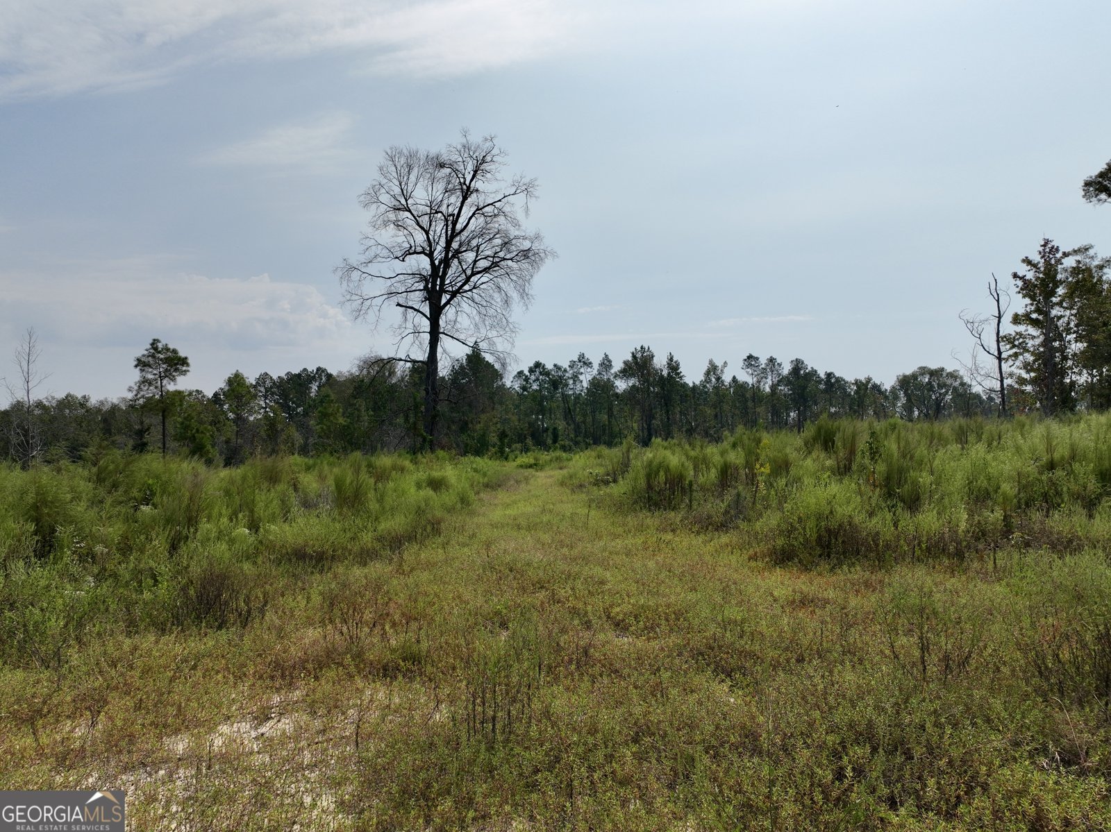 4281 Ga Highway 46 Soperton - 30