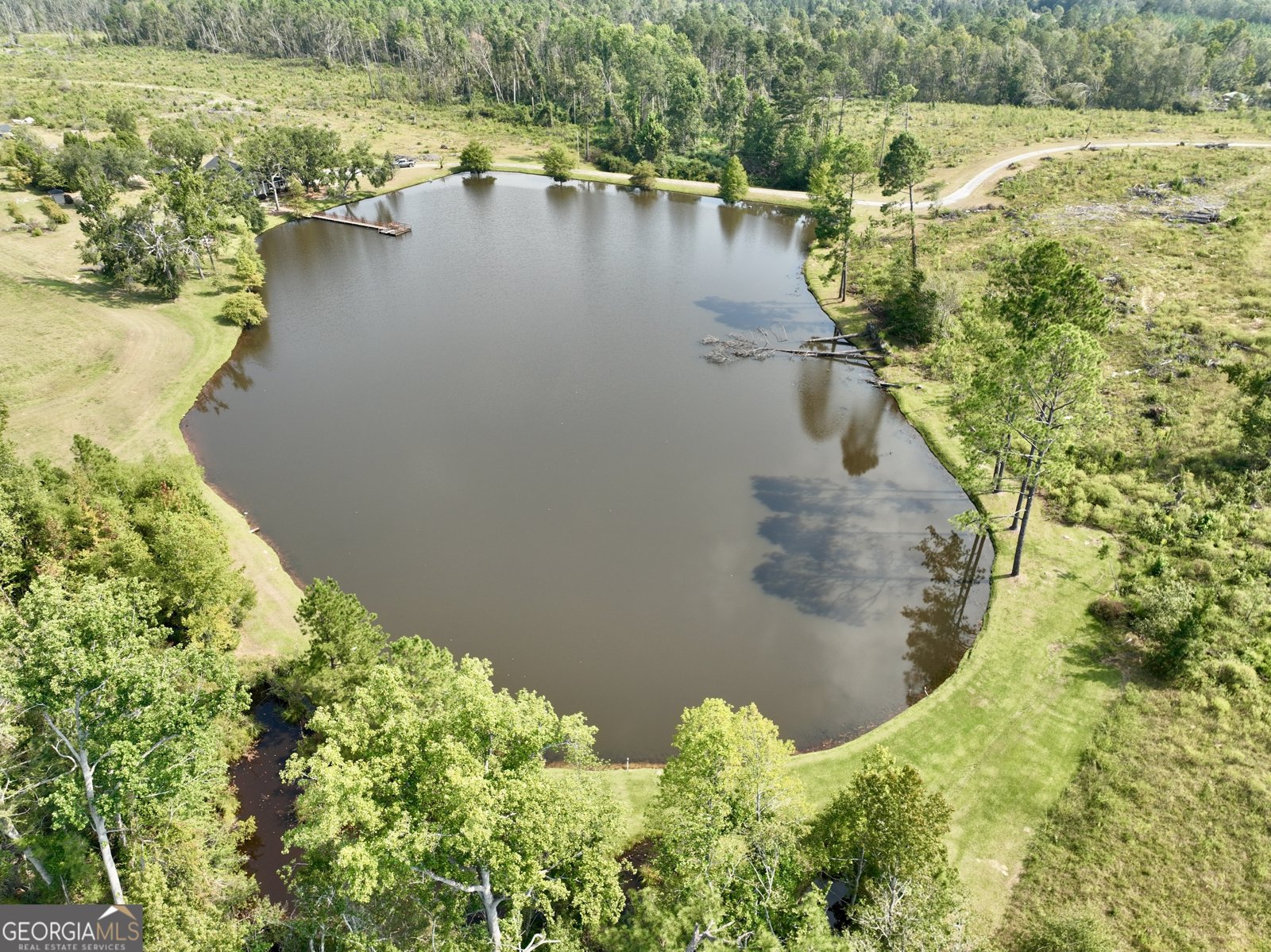 4281 Ga Highway 46 Soperton - 40