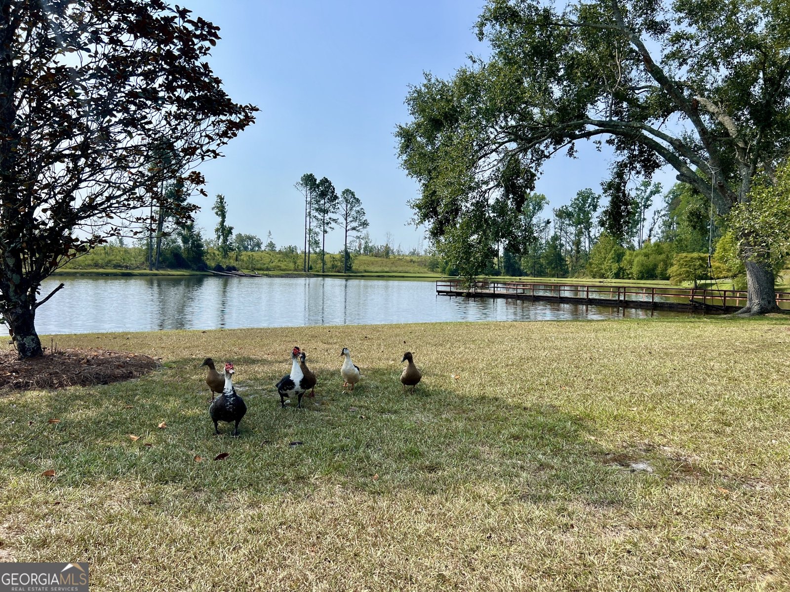 4281 Ga Highway 46 Soperton - 41