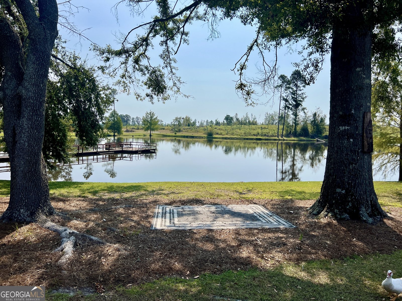 4281 Ga Highway 46 Soperton - 54