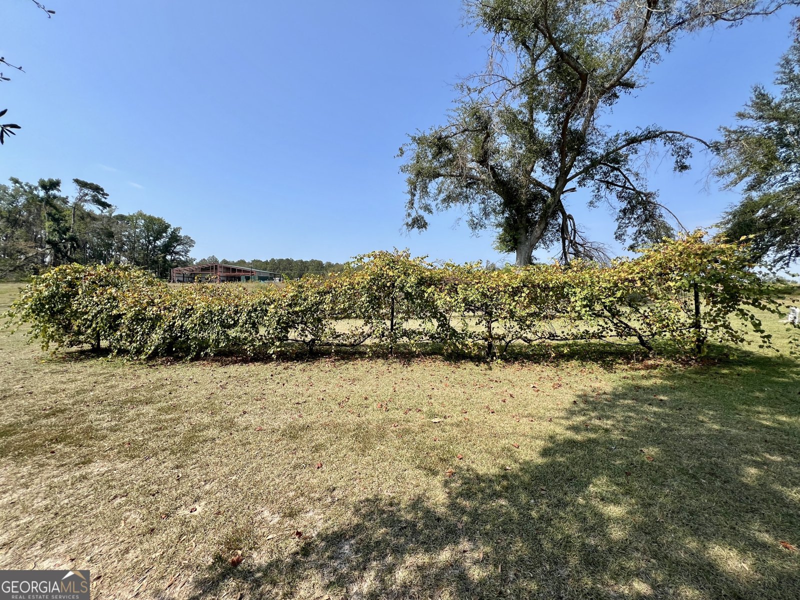 4281 Ga Highway 46 Soperton - 89