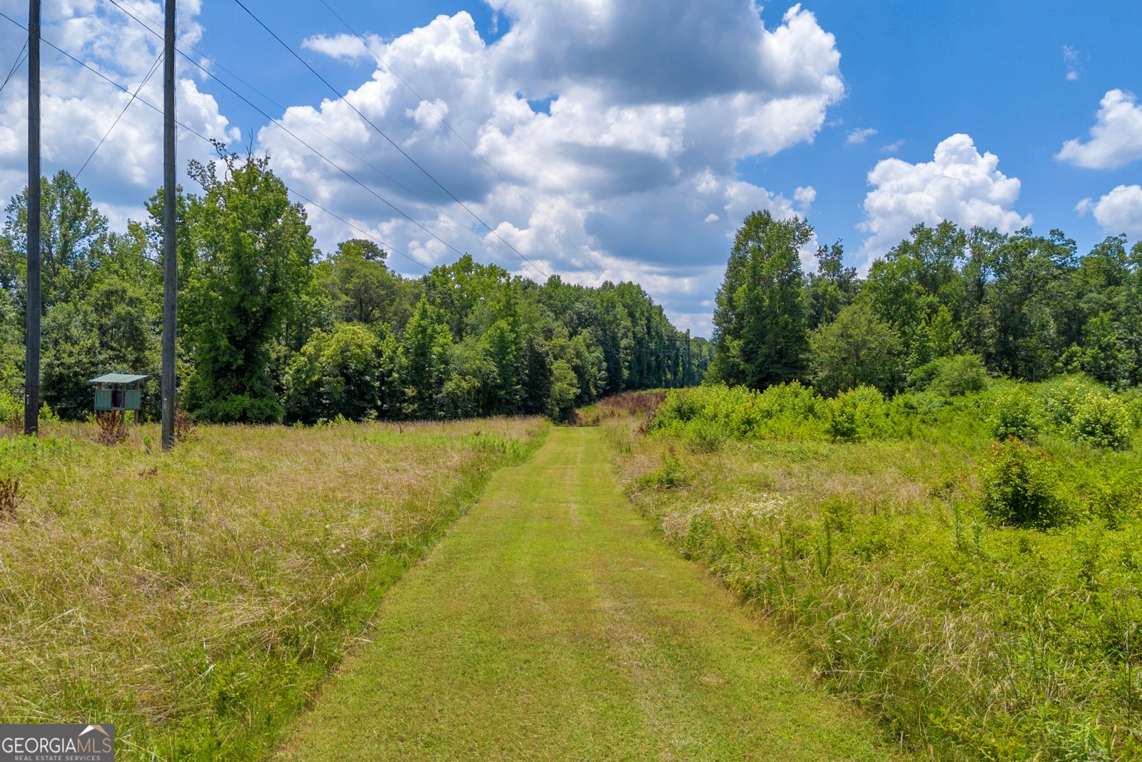 869 Ankerich Road Bowersville - 1