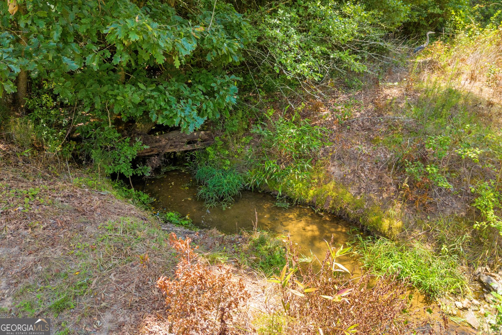 869 Ankerich Road Bowersville - 30