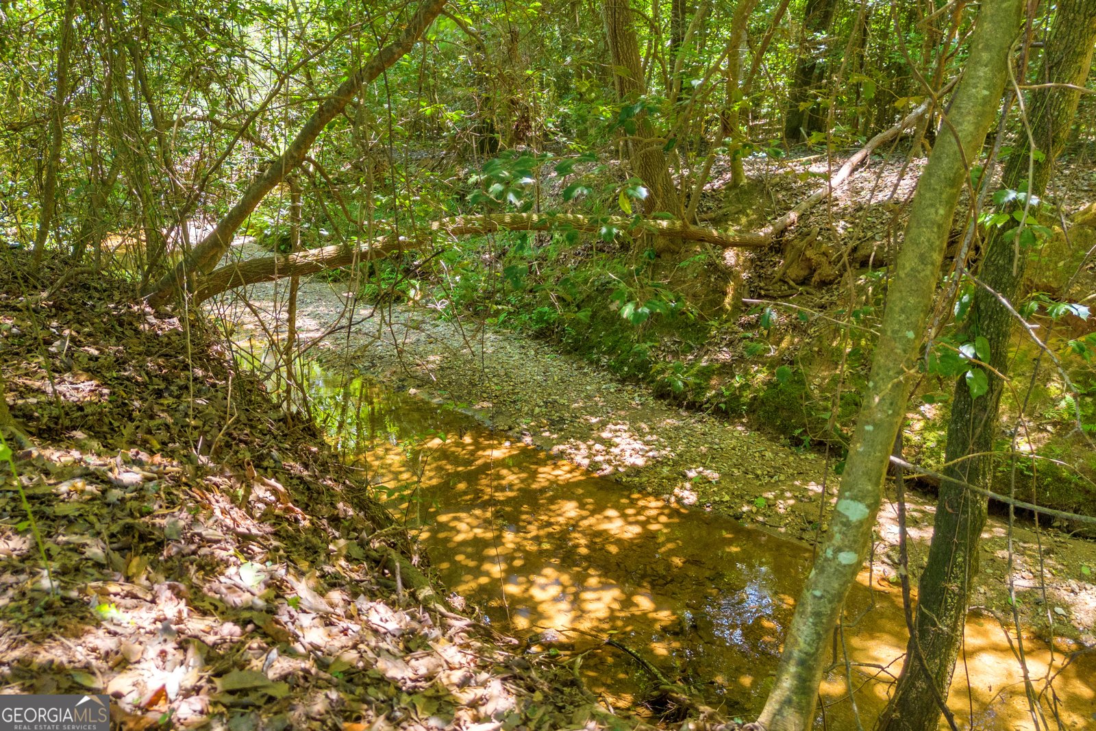 869 Ankerich Road Bowersville - 31