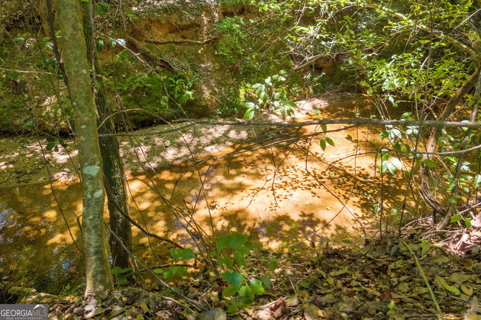 869 Ankerich Road Bowersville - 32