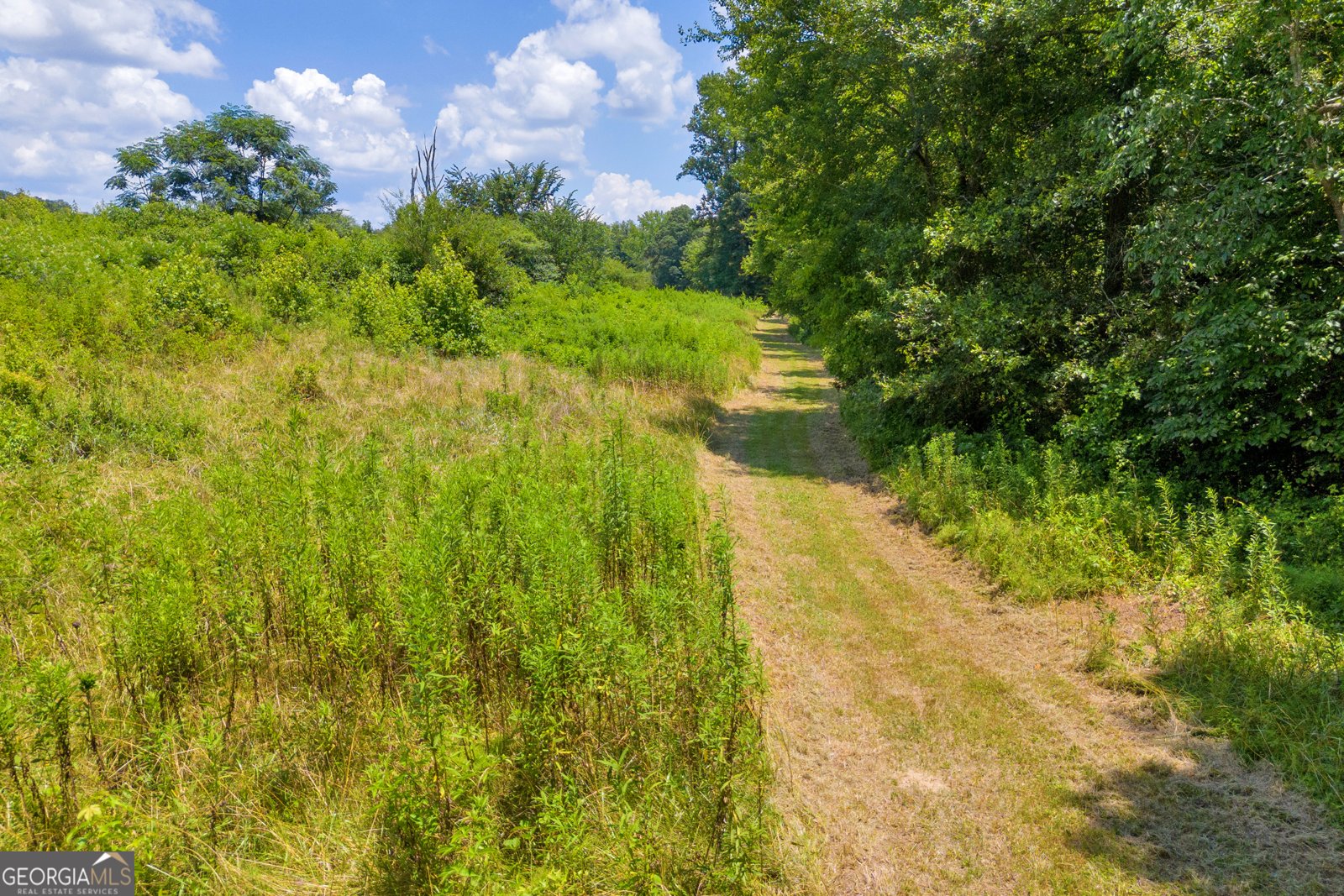 869 Ankerich Road Bowersville - 37