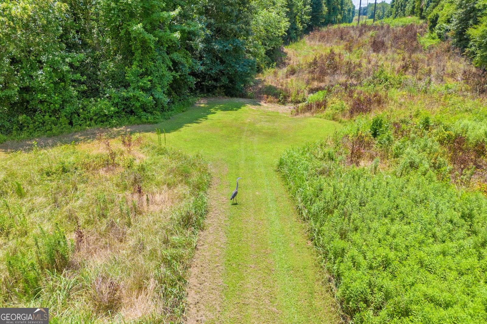 869 Ankerich Road Bowersville - 39