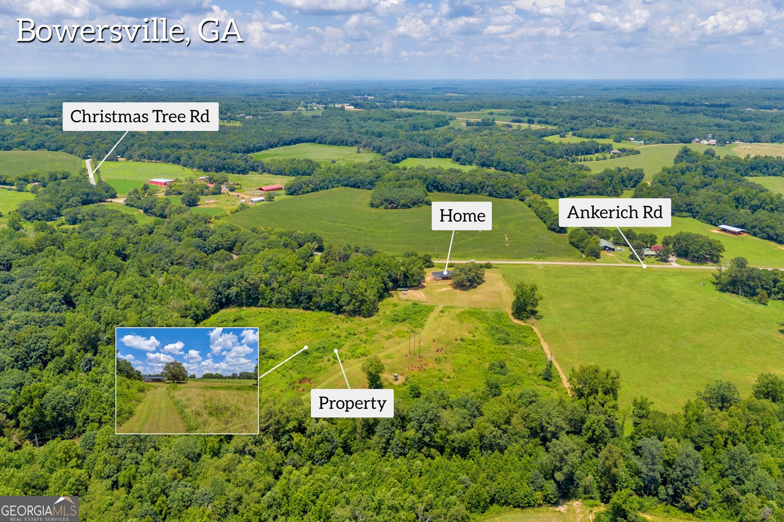 869 Ankerich Road Bowersville - 40