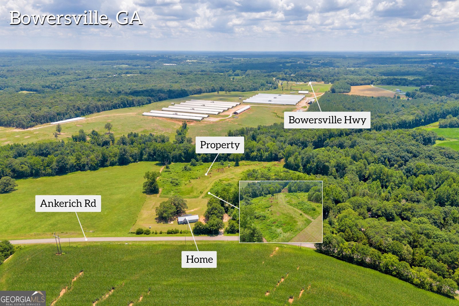 869 Ankerich Road Bowersville - 41