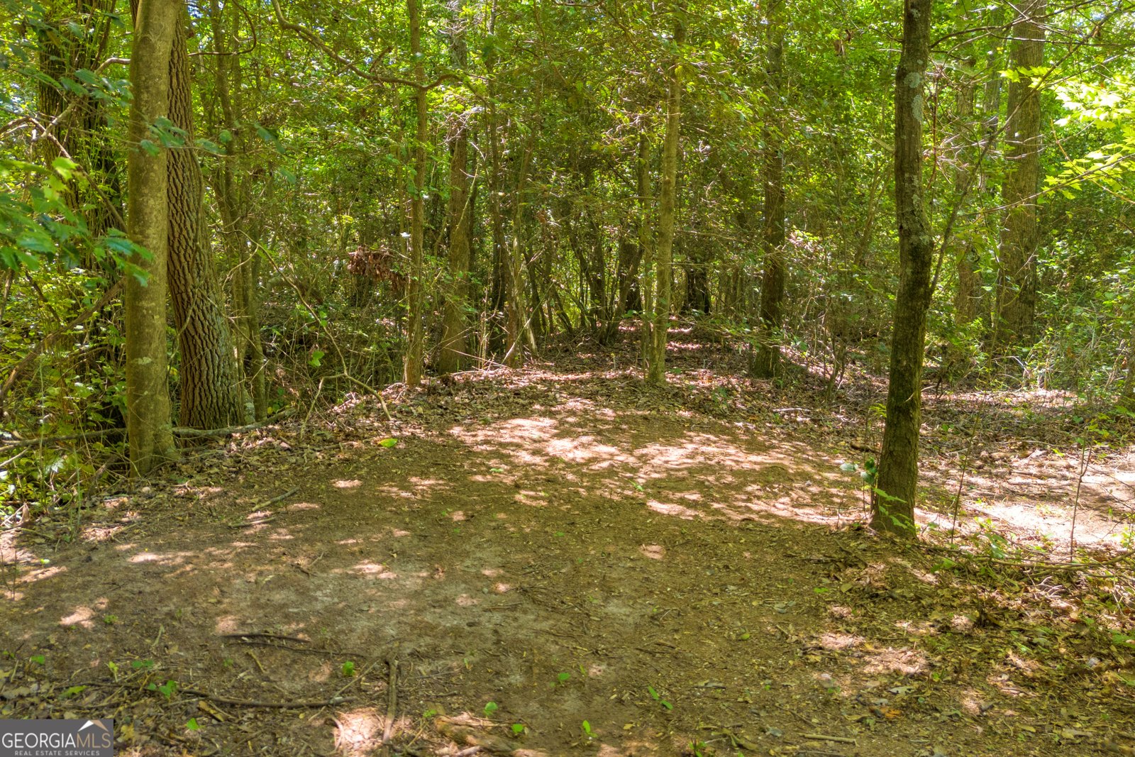 869 Ankerich Road Bowersville - 43