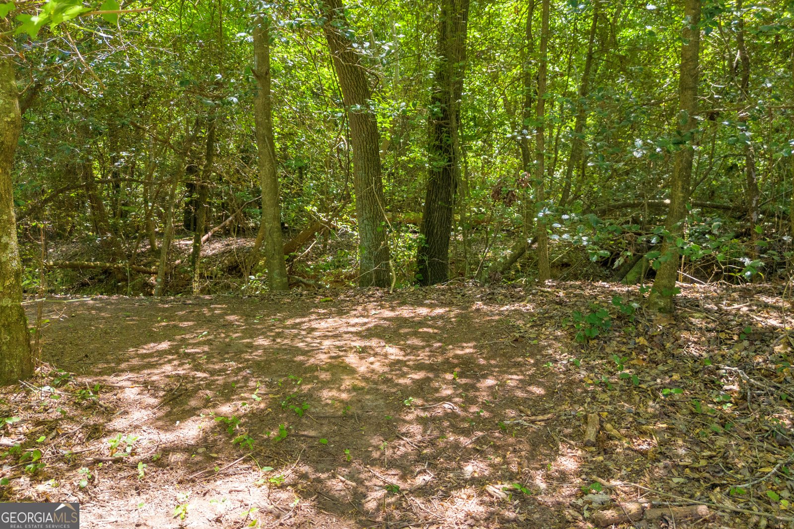 869 Ankerich Road Bowersville - 45