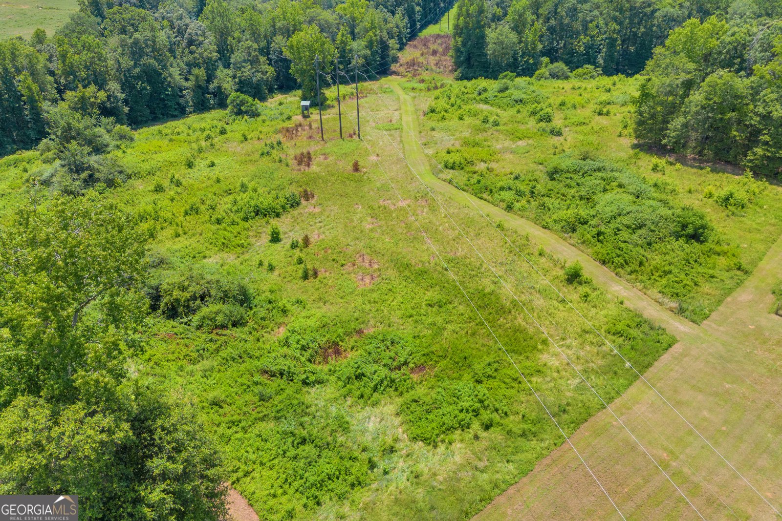 869 Ankerich Road Bowersville - 49