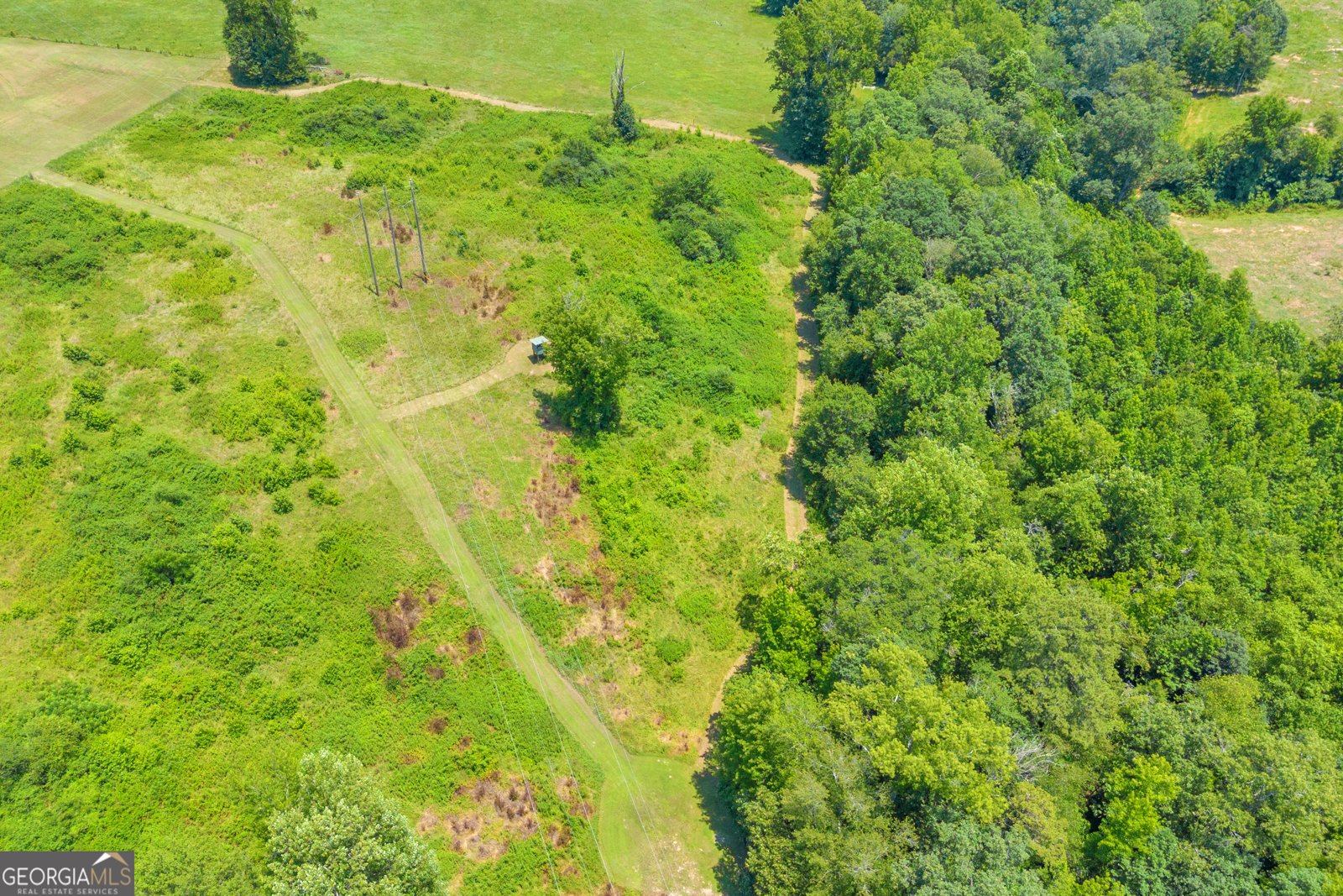 869 Ankerich Road Bowersville - 55